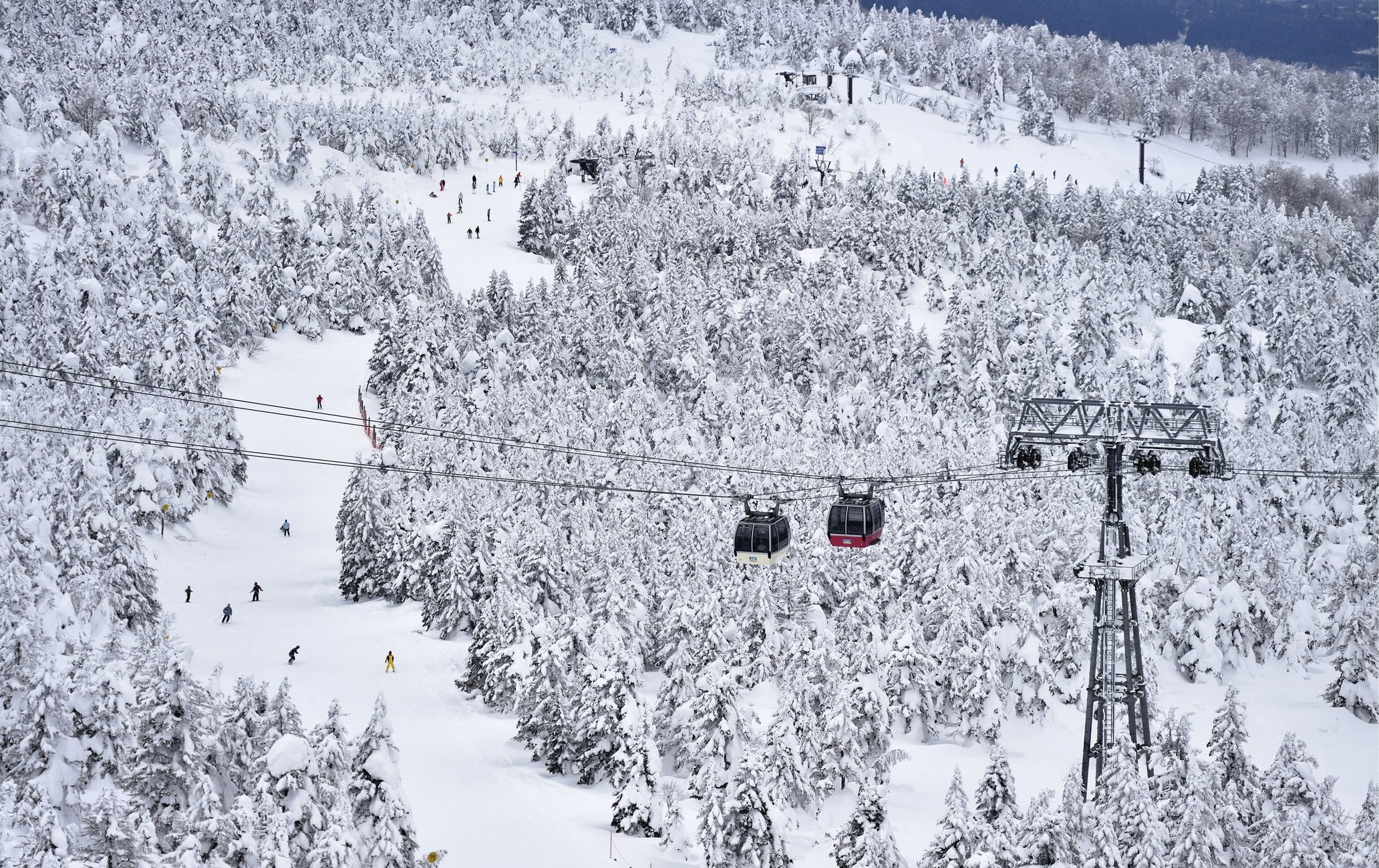 藏王溫泉滑雪場