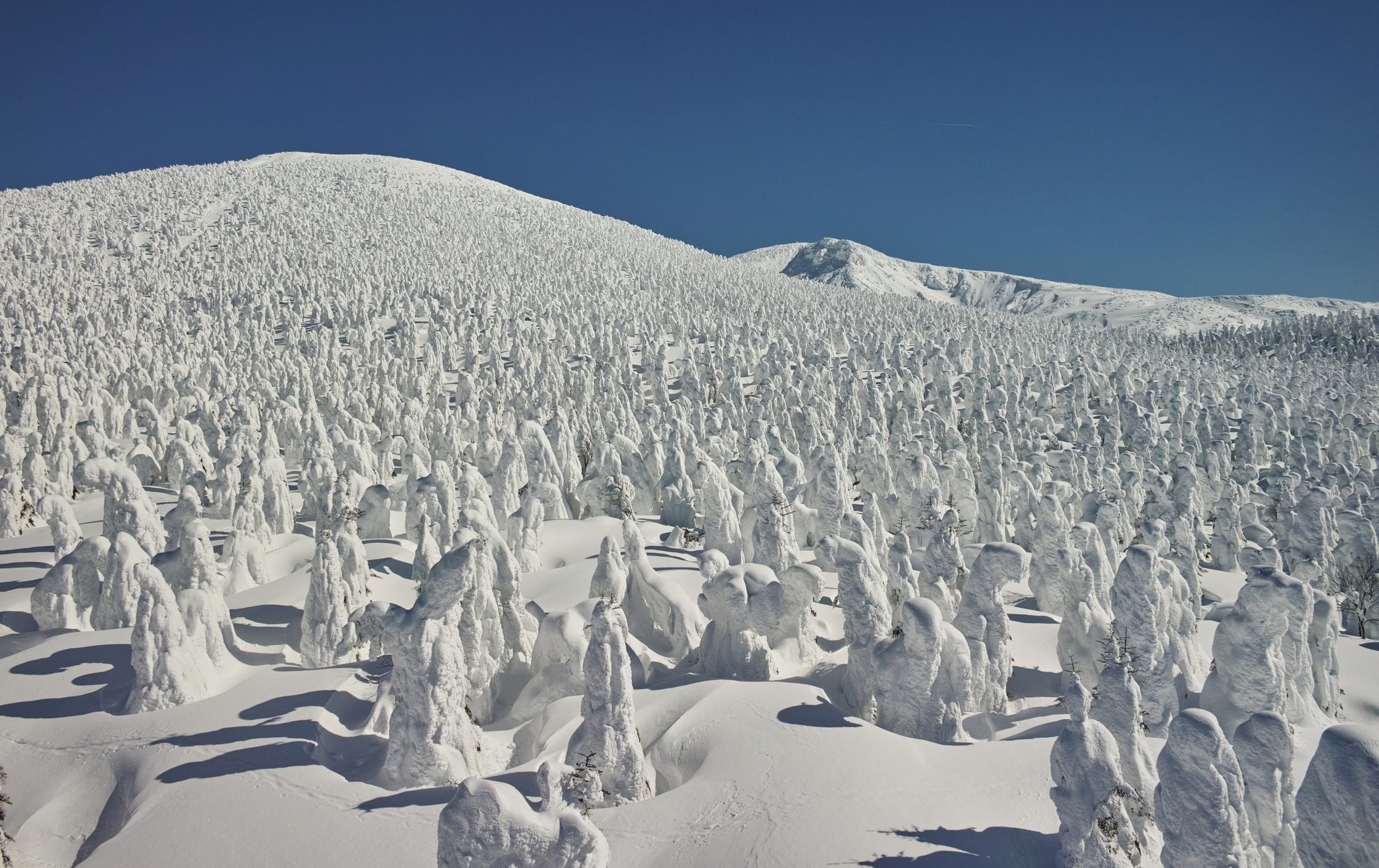 藏王樹冰（山形）