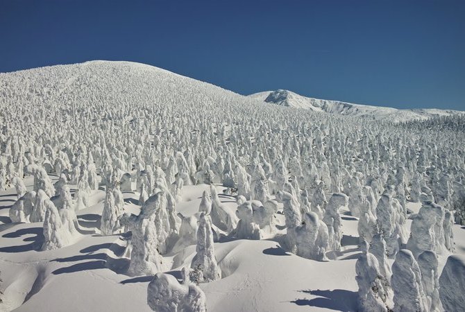 藏王樹冰（山形）