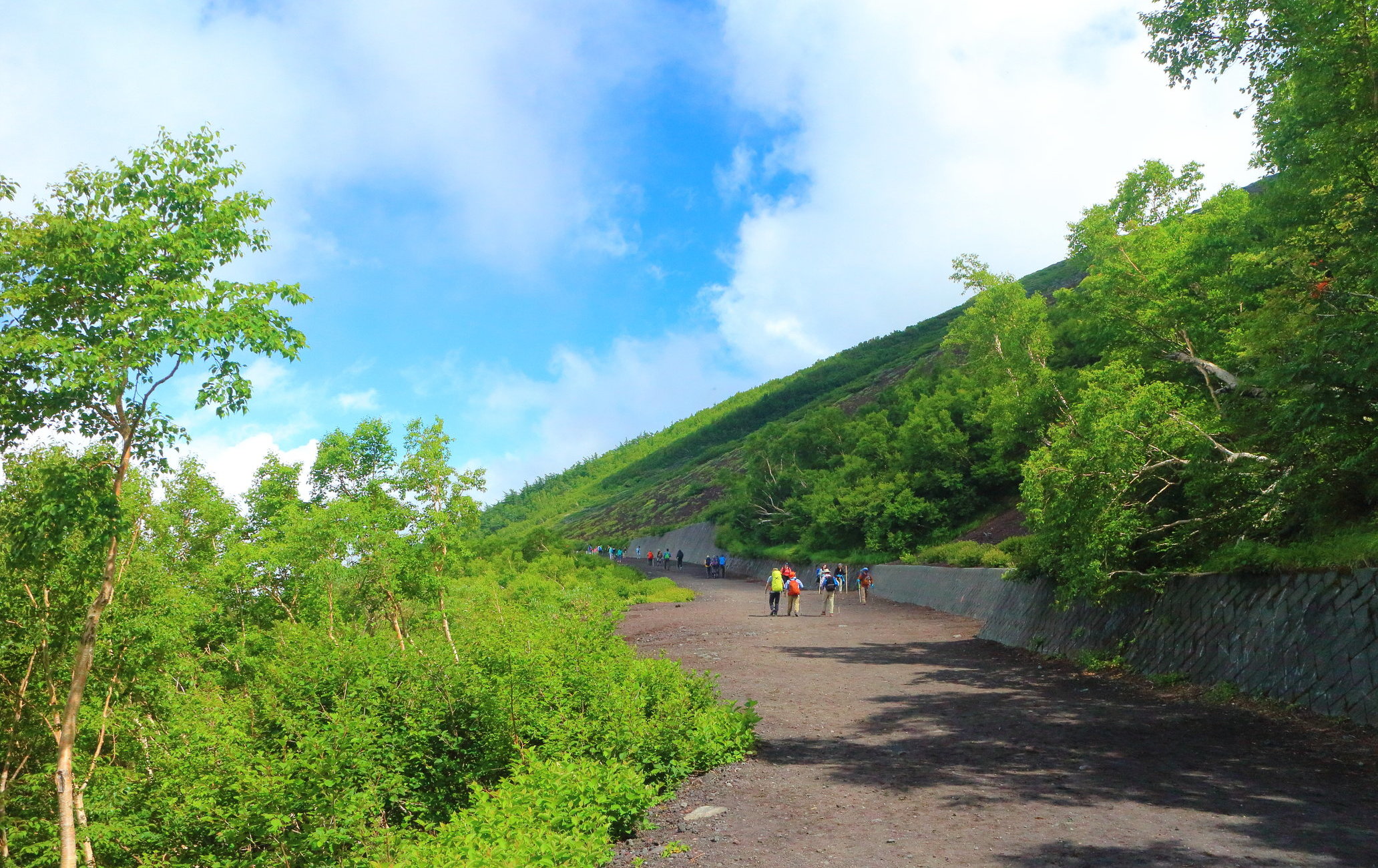 富士山吉田路線
