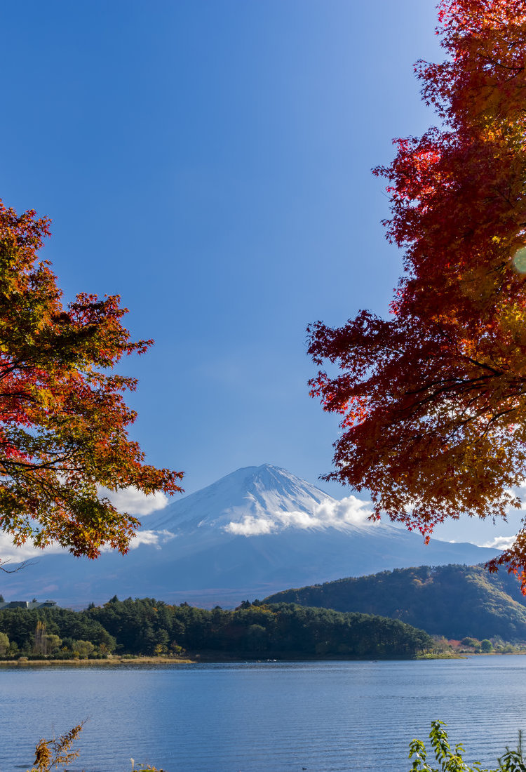 富士五湖地區