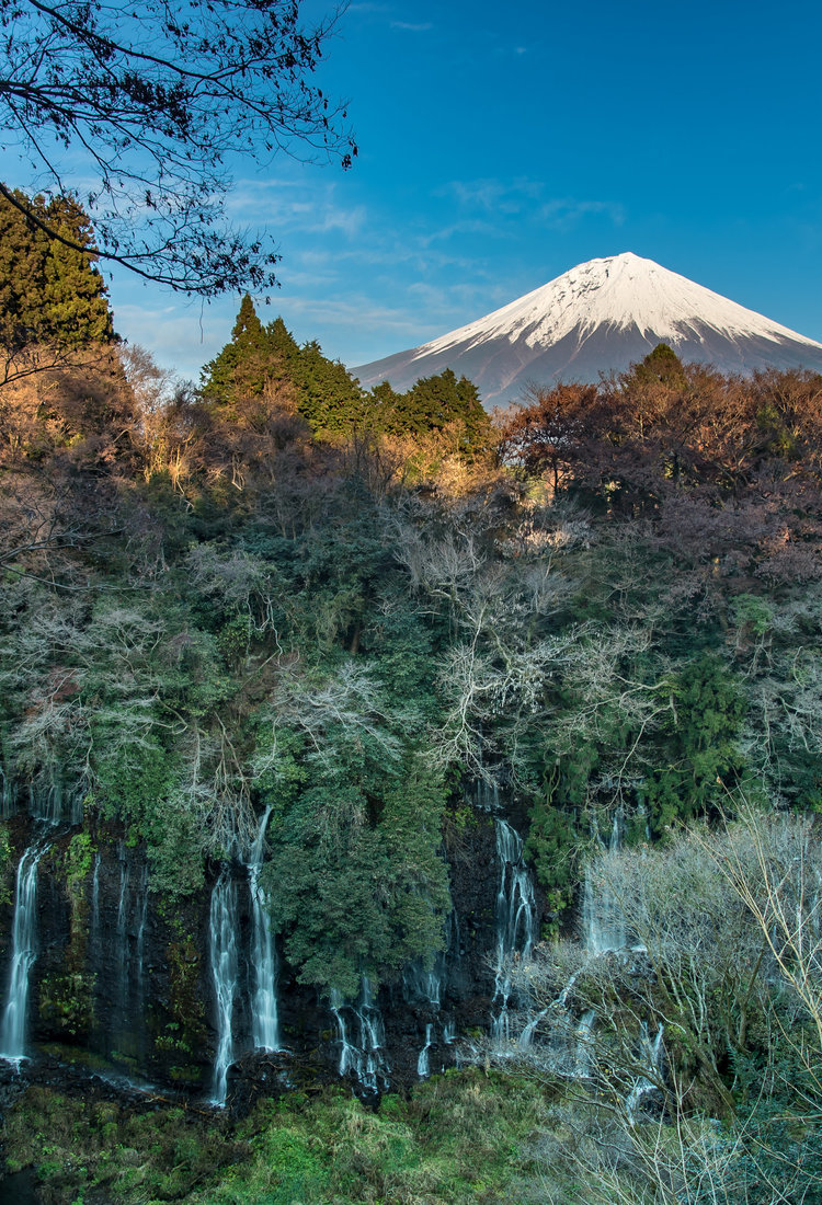 探訪靜岡富士山山麓丘陵