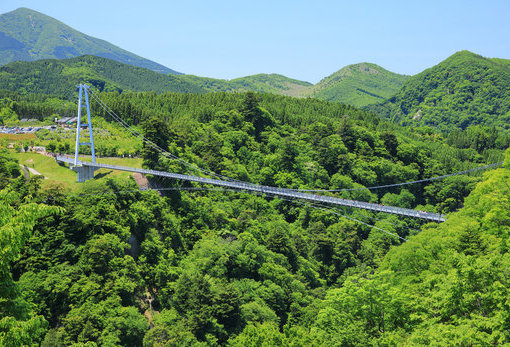九重“夢”大吊橋