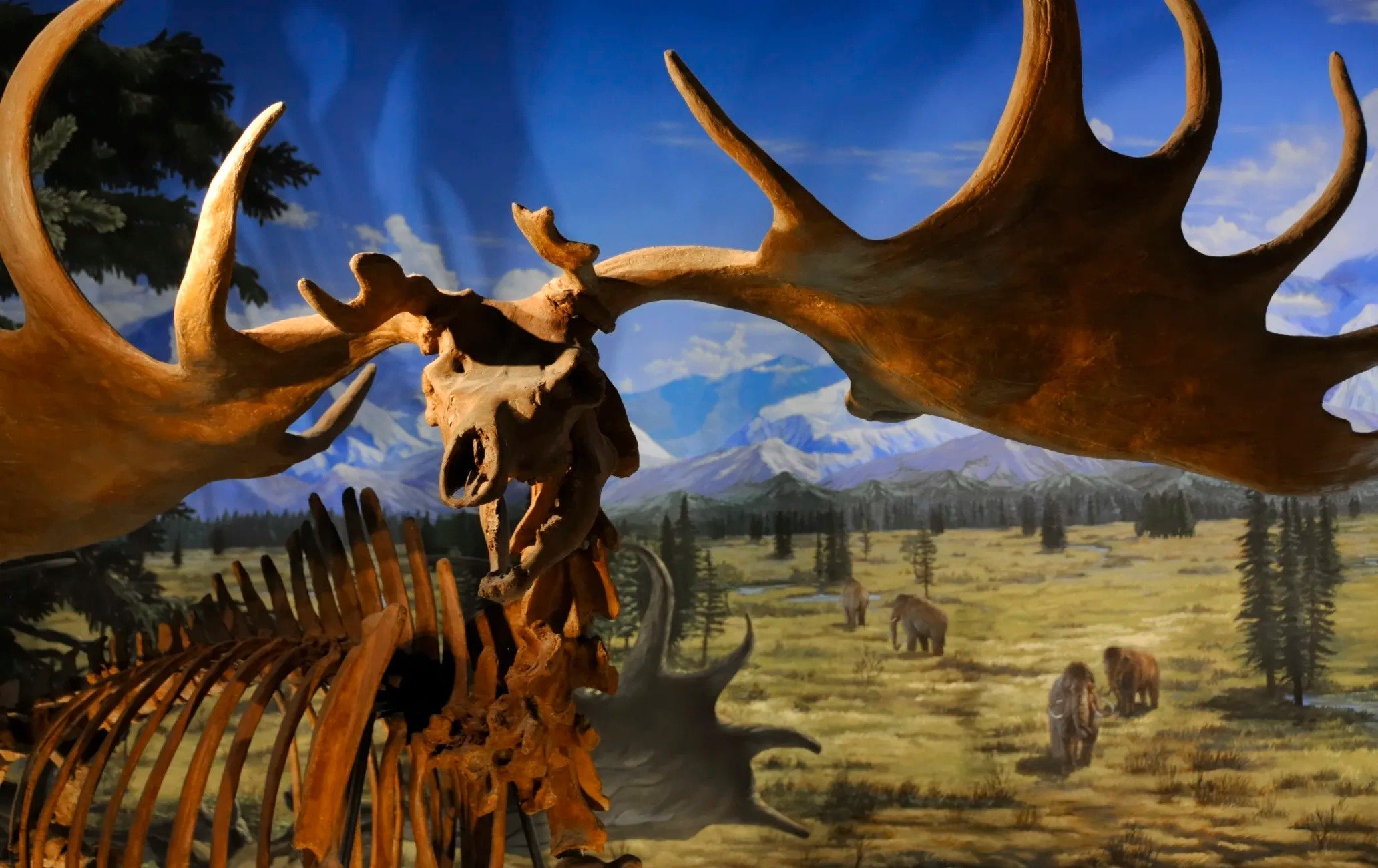 福井縣立恐龍博物館