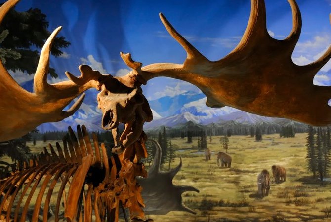 福井縣立恐龍博物館