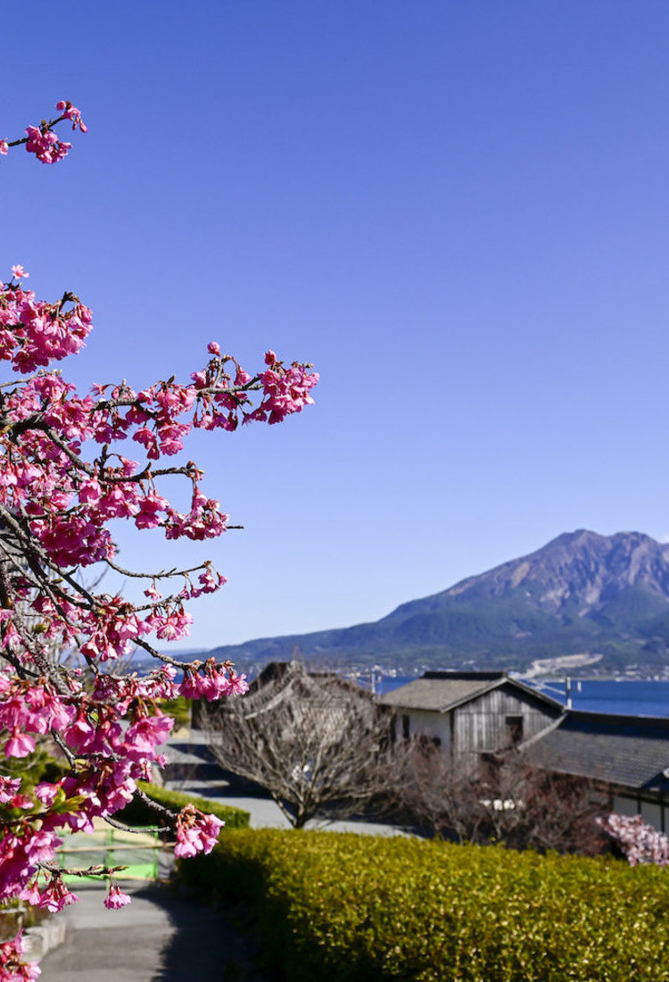 鹿兒島市
