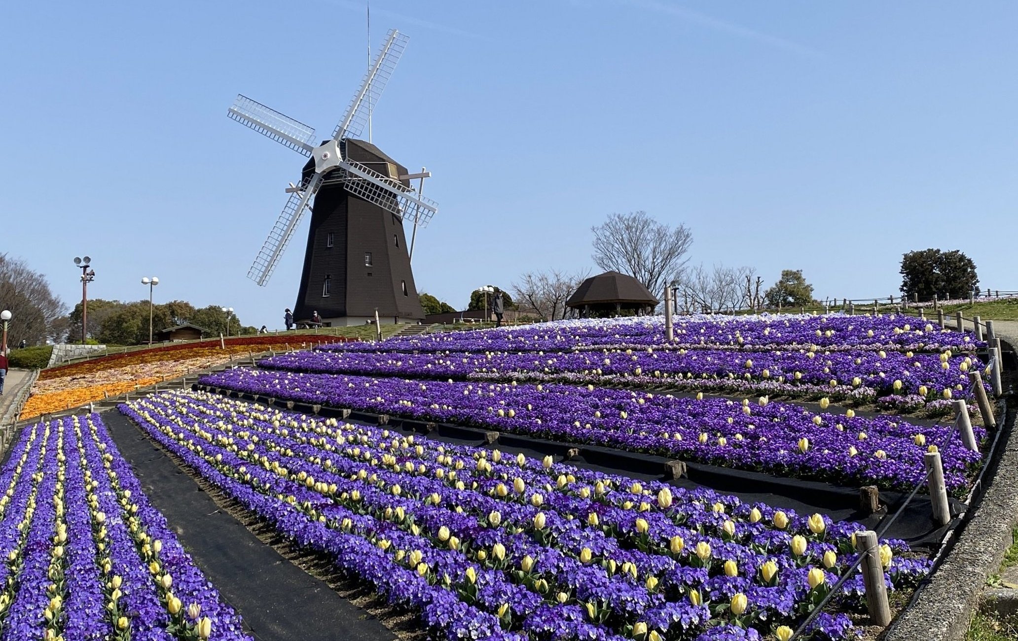 花博紀念公園鶴見綠地