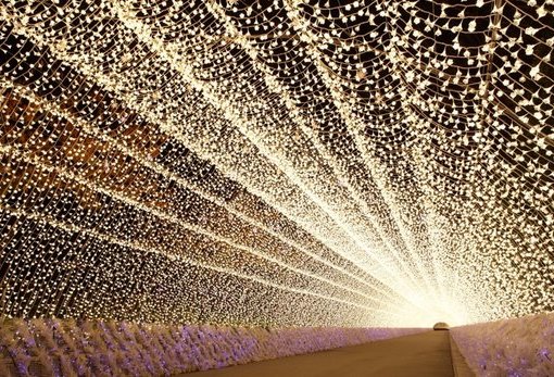 名花之里冬季燈海