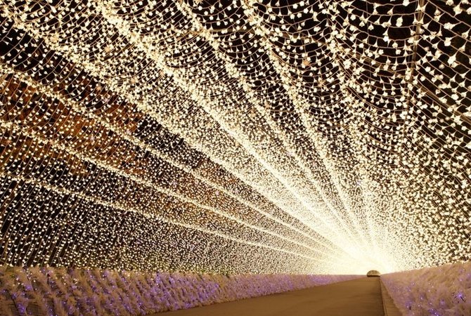 名花之里冬季燈海