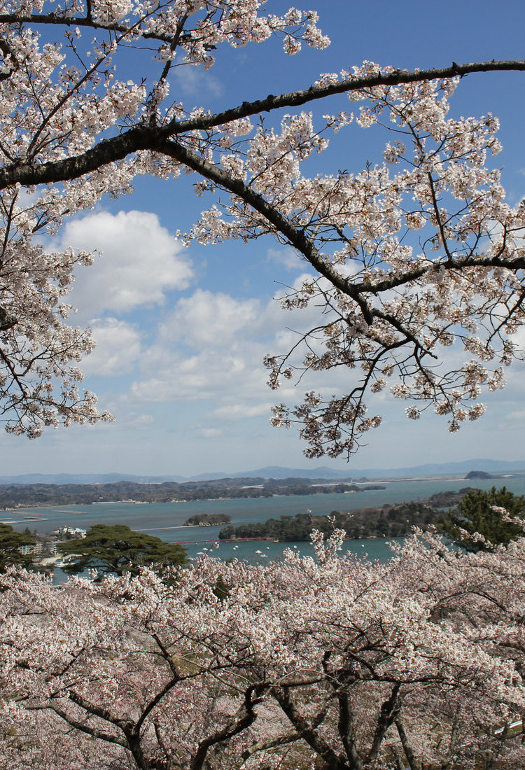 宮城