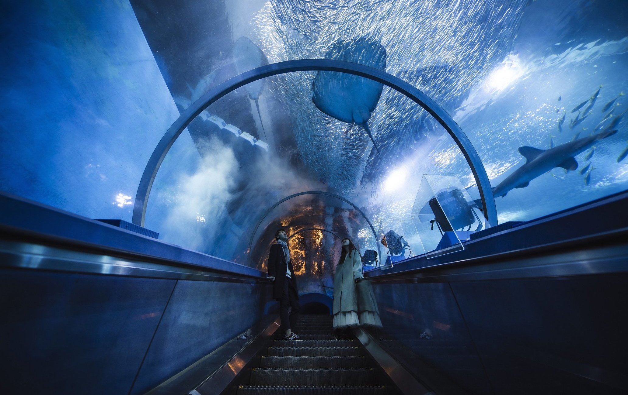 橫濱?八景島海島樂園