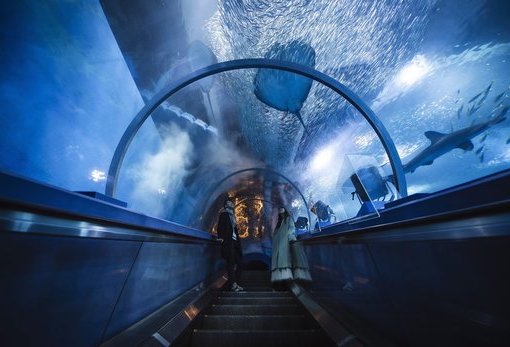 橫濱?八景島海島樂園