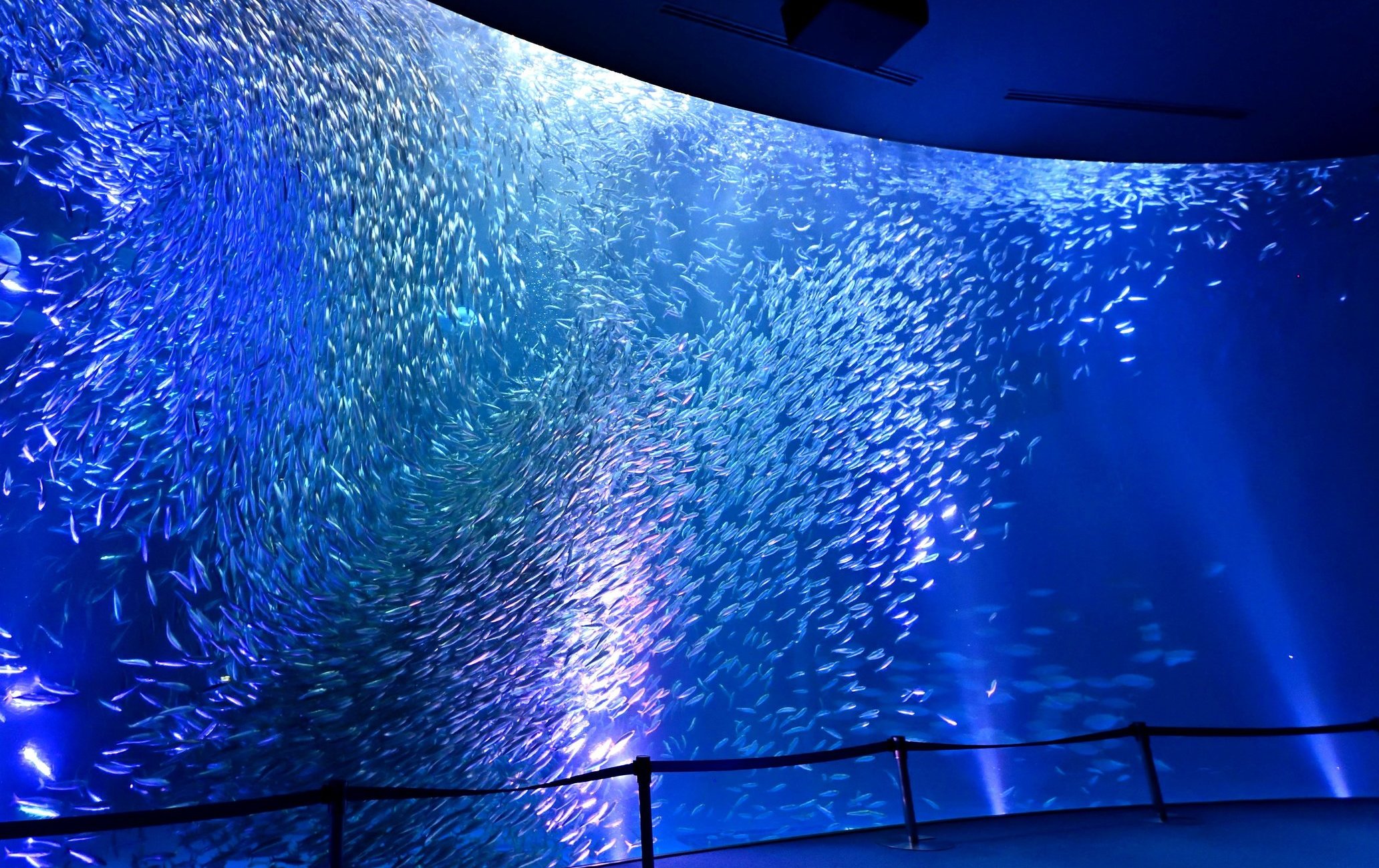 名古屋港水族館