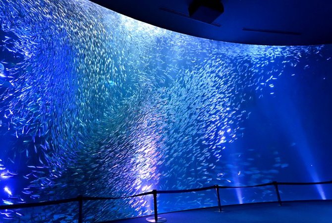 名古屋港水族館
