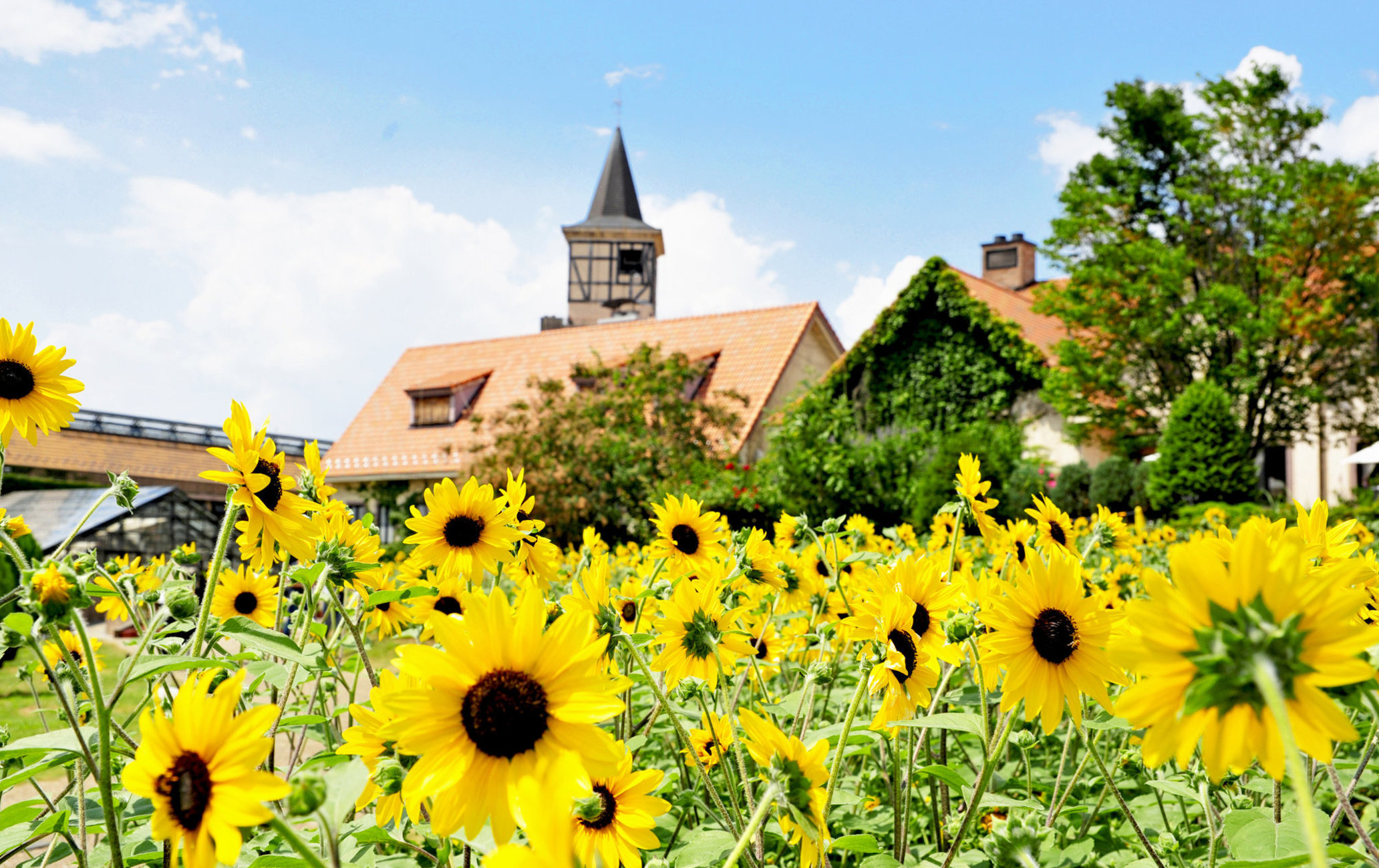 山梨縣立花卉中心海蒂村