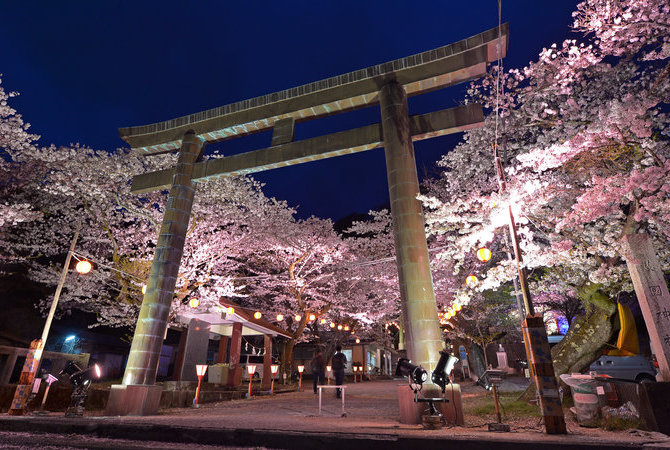 鬼怒川溫泉夜櫻祭