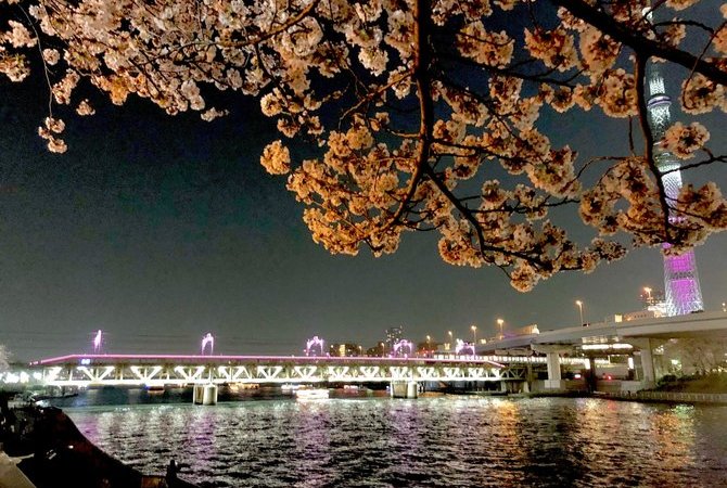 隅田公園櫻花祭