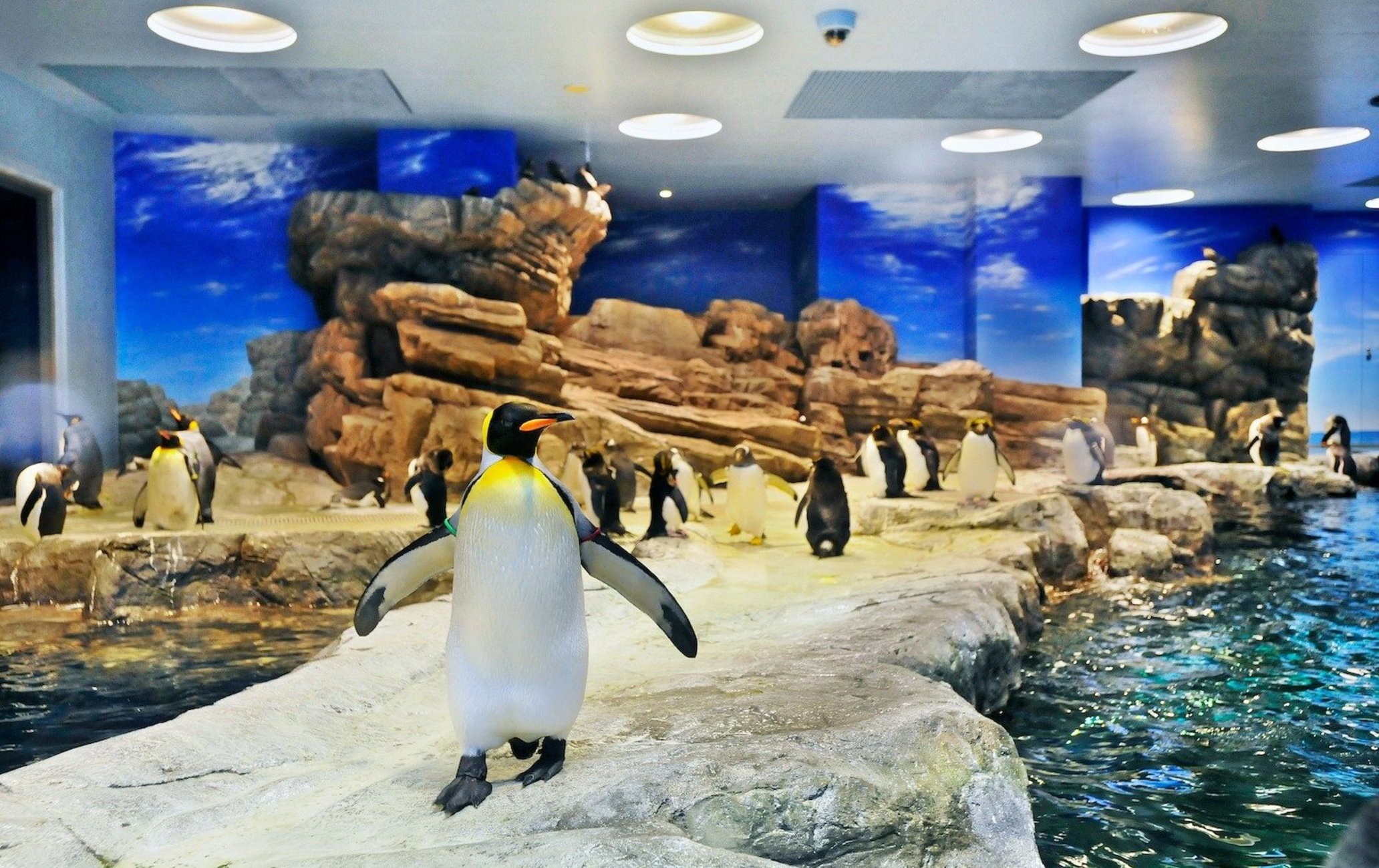 下關市立下關水族館·海響館