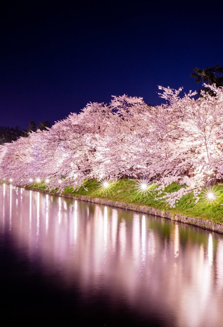 青森