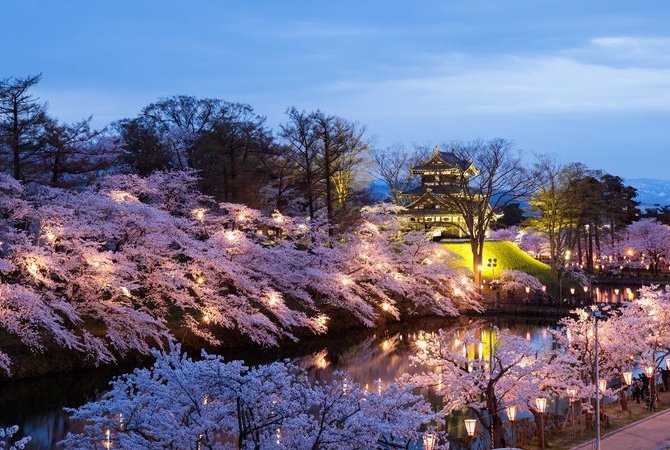 高田城址公園百萬人賞櫻會