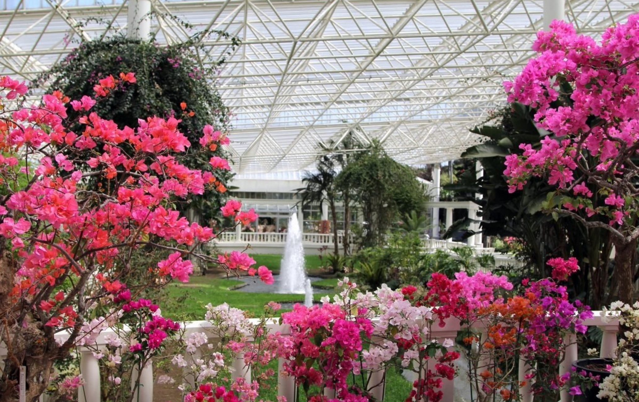 鹿兒島花卉公園