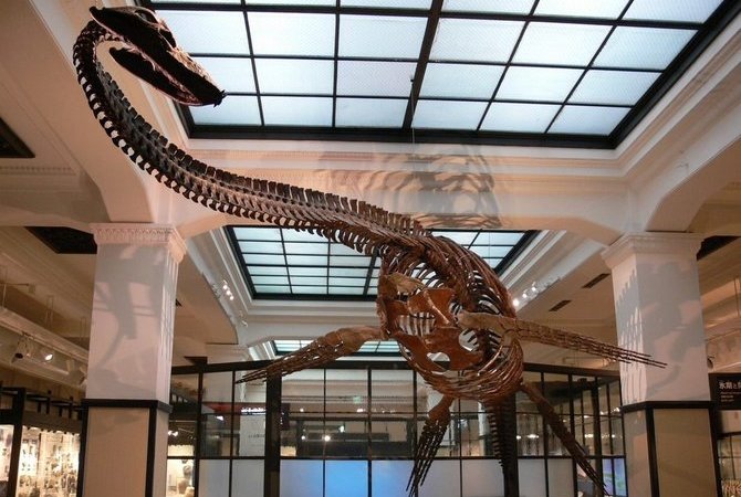 國立科學博物館