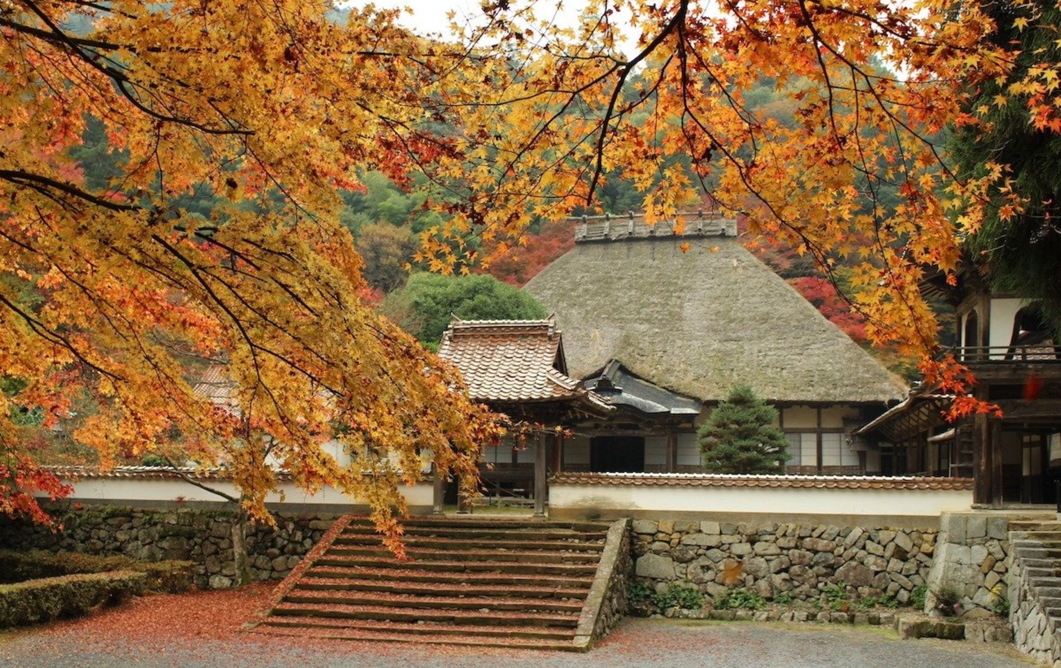 養命寺