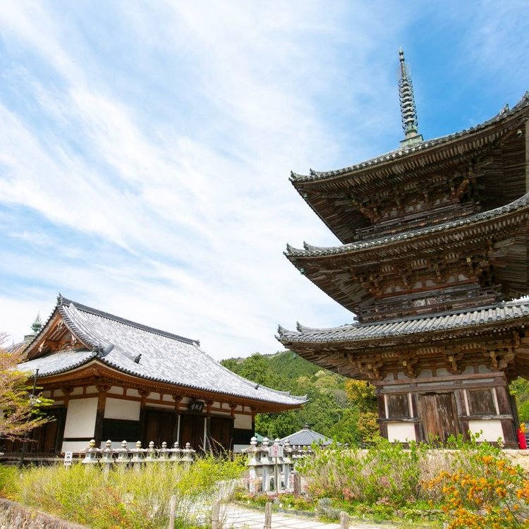 日本的世界遺產精華