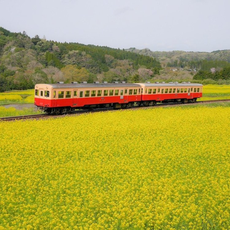 日本當地鐵路