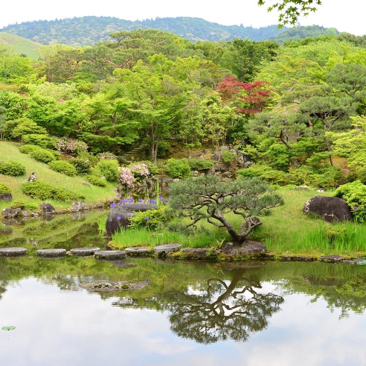 日本各地的日式庭園和禪意庭院
