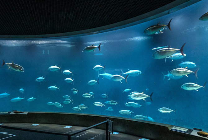 葛西臨海水族園