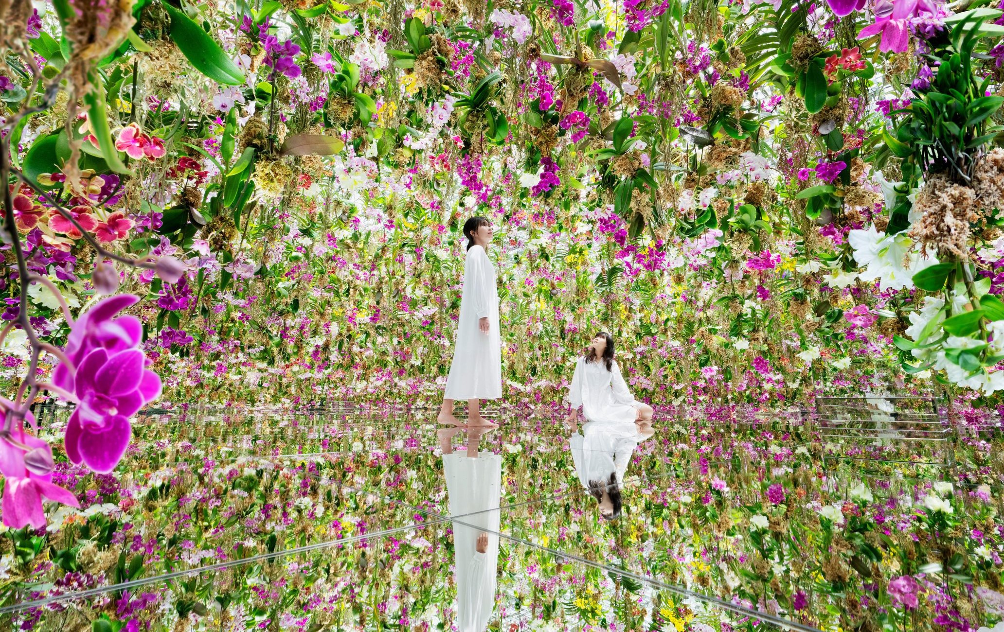 teamLab Planets 東京豐洲未來樂園光影展