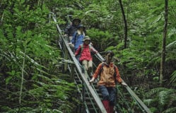 草木繁茂的沖繩植物園：全球生物多樣性的展示基地與衛士