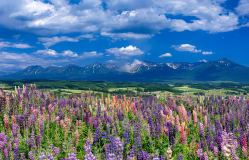 北海道四日游：感受季節之美