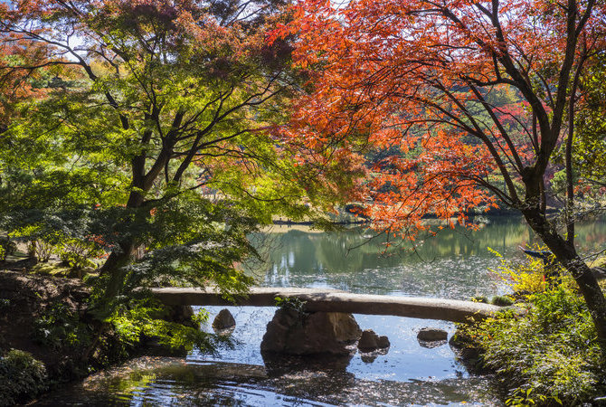 體驗文化，探索獨一無二的日式美學
