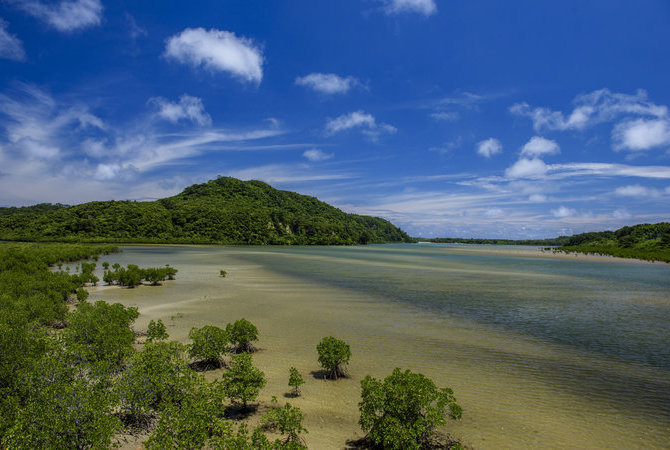 西表島及山原——日本南部海域的生物多樣性熱點