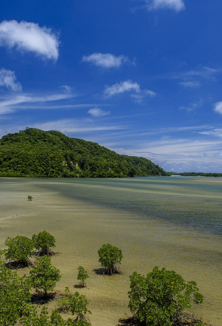 西表島及山原——日本南部海域的生物多樣性熱點