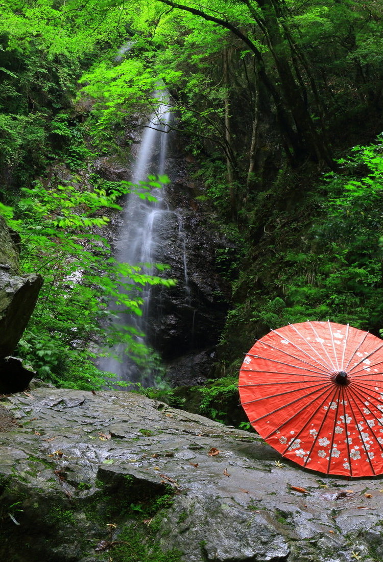檜原村:東京唯一坐擁山川、自然風光和悠久傳統的村莊