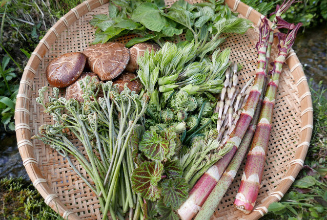 九州和中國地區的環保型住宿　　　　　　　日本的環保進程：流行語是如何變為現實的