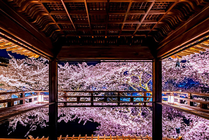 千年古剎奢華宿坊，非公開日本國寶觀摩體驗