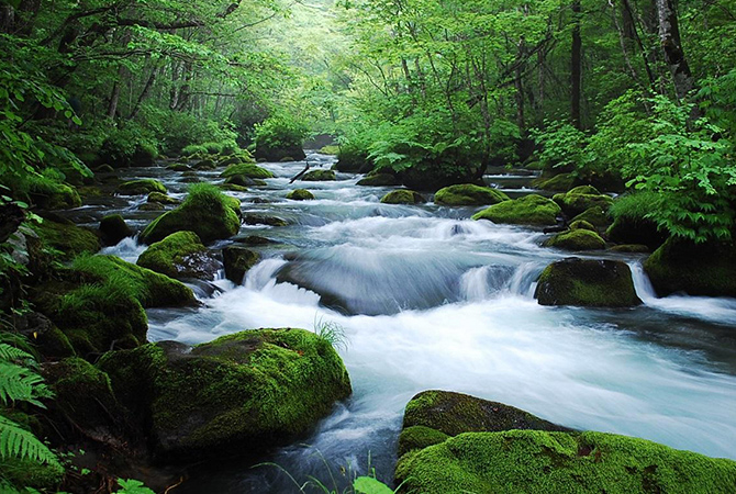 沉浸自然，感知藝術，領略獨一無二的奢華