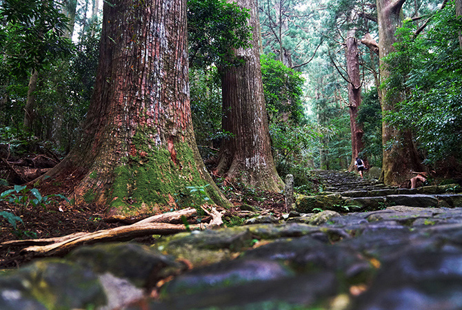 從高野山到熊野古道，一次心靈凈化之旅