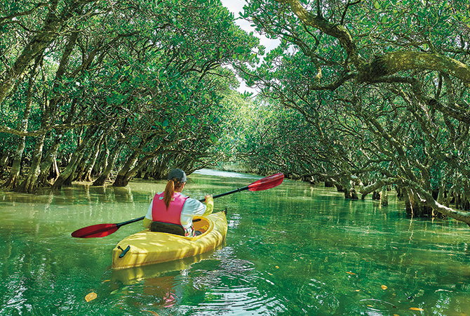 獨占一隅世界自然遺產，尋跡純粹共振
