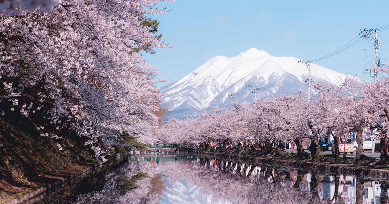 日本之春：2025 年賞櫻預測